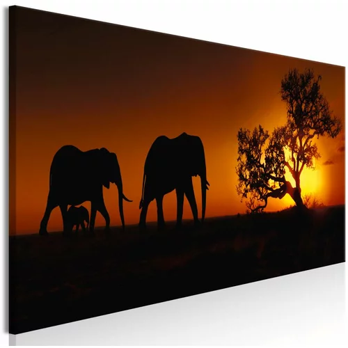  Slika - Elephant Family (Orange) 150x50