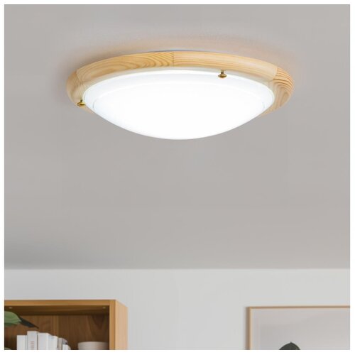 Rabalux fa ufo plafonjera D30 E27 60W nature opal Cene