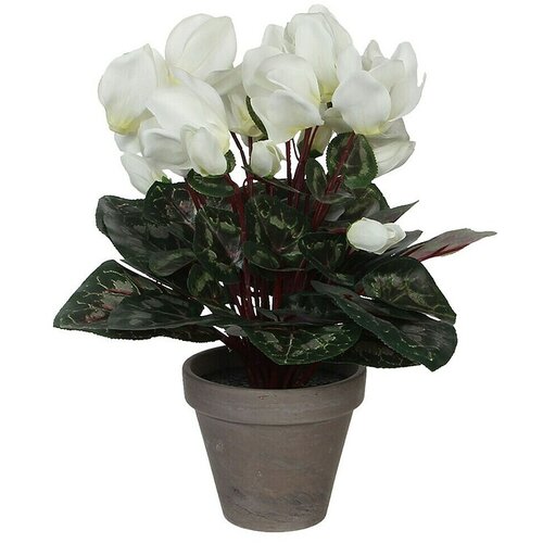  Umjetni cvijet Ciklama (Visina: 30 cm, Bijele boje, Plastika) Slike