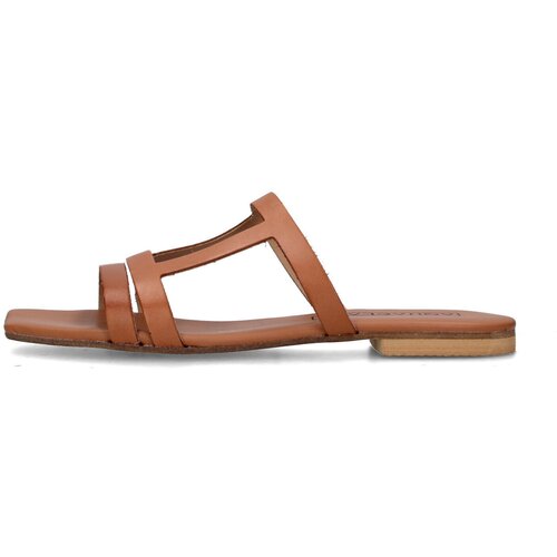 Aquaclara Natikači Q-TRIS Kostanjeva Slike