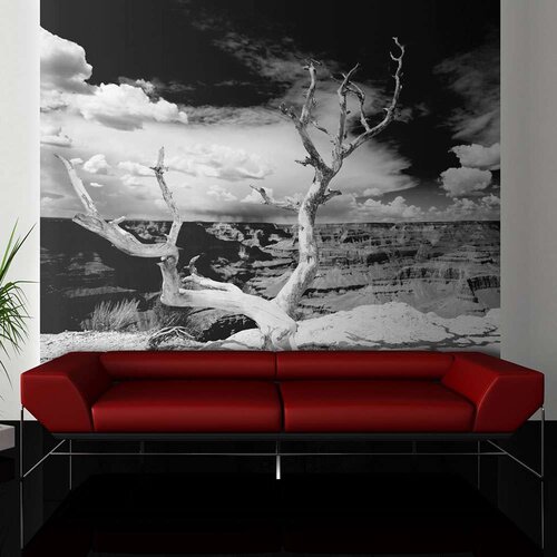  Tapeta - Grand Canyon tree 350x270 Slike