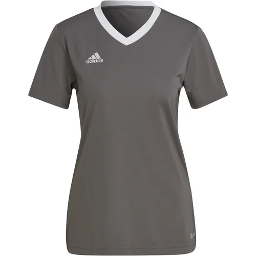 ADIDAS SPORTSWEAR Dres 'Entrada 22' temno siva / bela