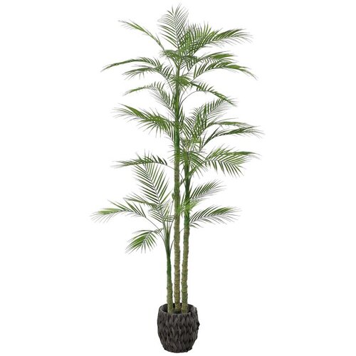  Umjetna palma s 3 stabljike 180 cm Slike