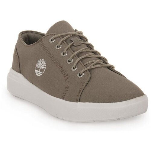 Timberland Nizke superge Seneca Bay Siva Slike