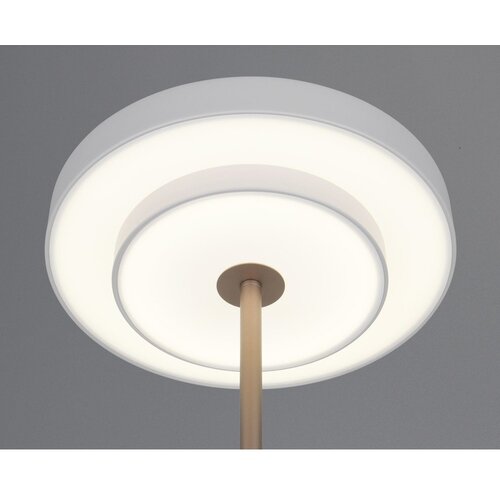  LED stojeća svjetiljka s mogućnosti zatamnjivanja boje slonovače (visina 138 cm) Keaton &amp;ndash; Slike