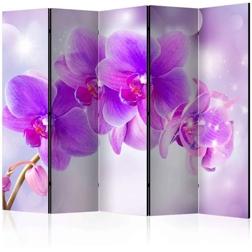  Paravan u 5 dijelova - Purple Orchids II [Room Dividers] 225x172