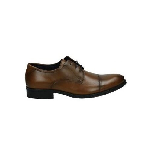 Nuper Nizki čevlji Zapatos 2752 caballero marron Kostanjeva Cene