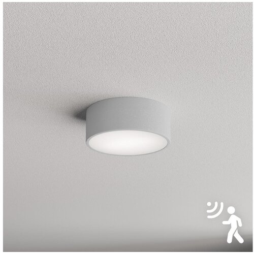 Brilagi plafonsko svetlo sa senzorom clare 1xE27/24W/230V pr. 20 cm sivo Cene