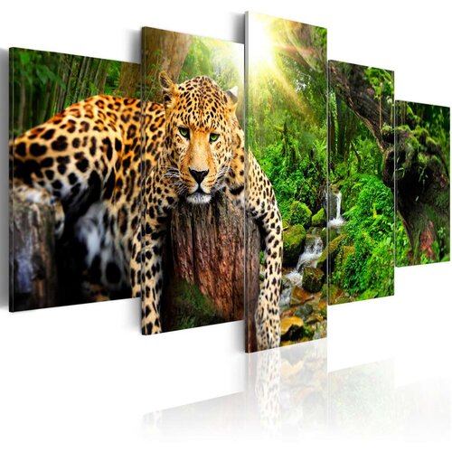  Slika - Predator&amp;#039;s Relaxation 100x50 Slike