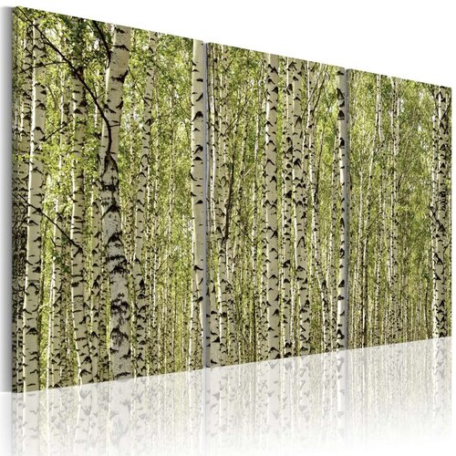  Slika - A forest of birch trees 120x80 Slike