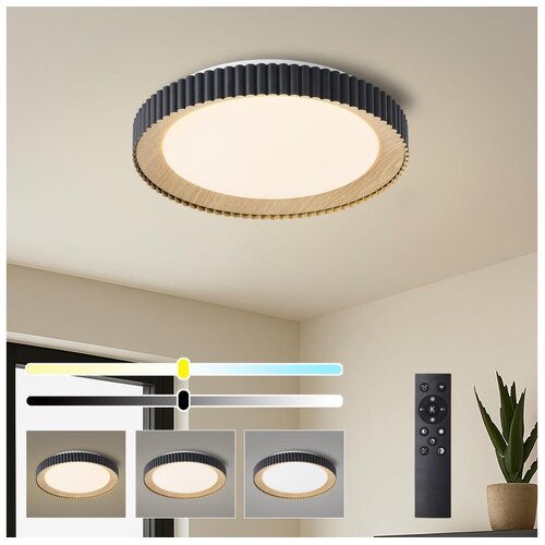 Brilagi LED prigu&scaron;iva stropno svetlo NEXO LED/48W/230V 3000-6000K crno prečnik 43 cm +daljinski upravljač Cene