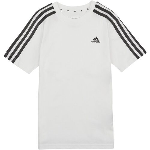 Adidas Majice s kratkimi rokavi 3S TEE Bela Slike
