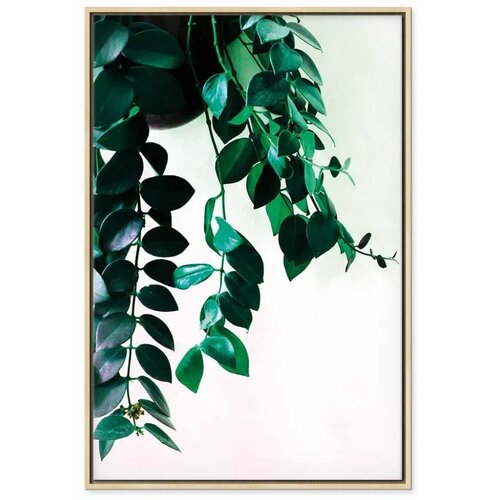  Slika - Corals of Nature (1 Part) Vertical 40x60 Cene