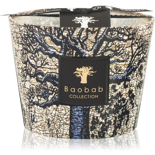 Baobab Collection Sacred Trees Seguela mirisna svijeća 10 cm Cene