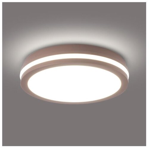  Brilagi - LED spoljna plafonska svetiljka BENE LED/24W/230V prečnik 26 cm braon IP54 Cene