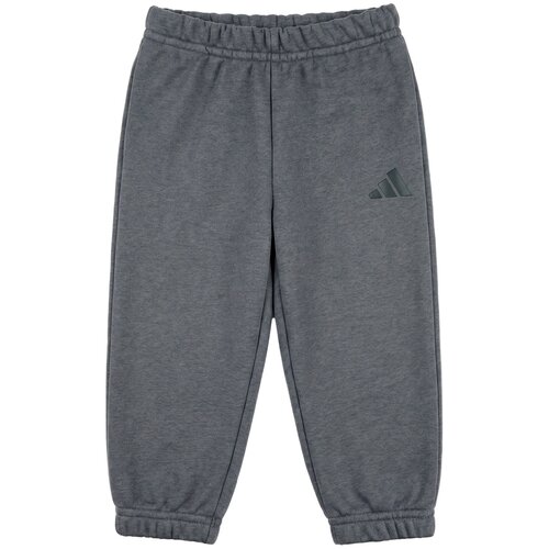 Adidas Spodnji deli trenirke - Siva Slike