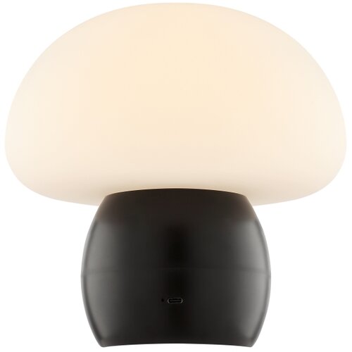 Brilliant LED prigu&amp;scaron;iva punjiva stolna lampa DUPIS LED/2W/5V 2700K crna Slike