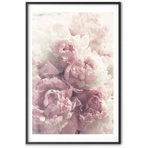  Plakat Delicate Peonies 21x30 Crni okvir s margom Cijene