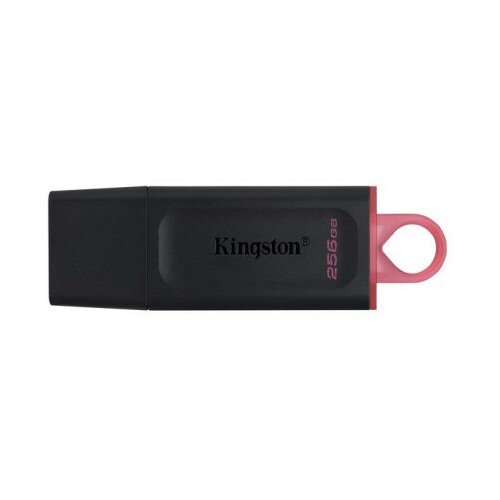 Kingston USB flash UFD 256GB DTX KIN ( 0001204552 ) Slike