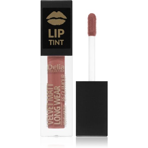 Delia Cosmetics Lip Tint mat tekući ruž za usne nijansa 013 SIMPLE CHICK 5 ml Slike