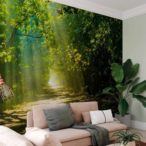 Foto tapeta - Road in Sunlight 450x315 Standard Cene
