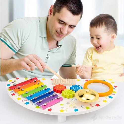 Tooky Toy multifunkcionalni muzički centar Cene