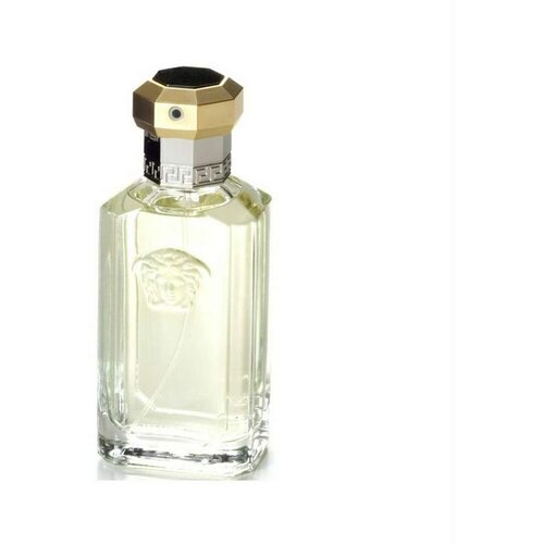 Parfem Dreamer Toaletna voda za moške 100 ml Cene