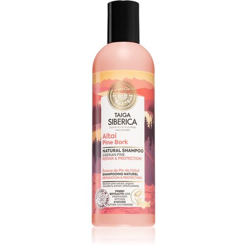 Natura Siberica Taiga Siberica Altai Pine Bark obnavljajući šampon za oštećenu kosu 270 ml Cijene
