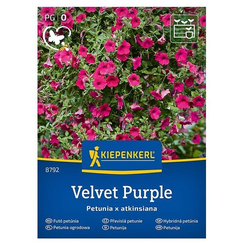 KIEPENKERL Cvetlična semena Petunija Velvet Purple (Petunia x atkinsiana, Vijolična) Cene