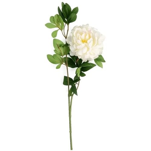  Rezano cvijeće grana peonija 68 cm bijela Cijene