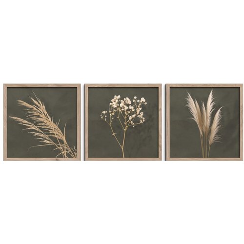 Styler Plakati v kompletu 3 ks z okvirjem 30x30 cm Pampas – Cene