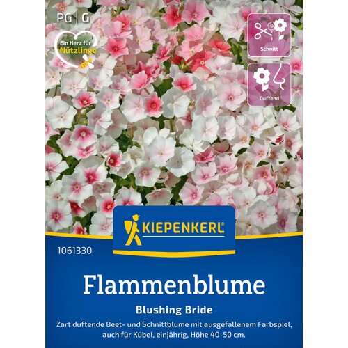KIEPENKERL Plamenka "Blushing Bride" - 1 pkt. Cene