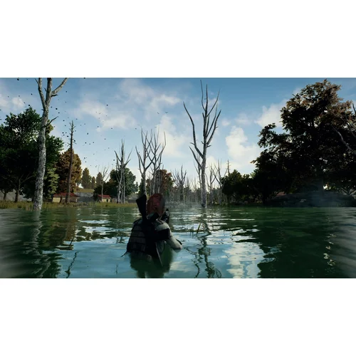 Sony PlayerUnknown's Battlegrounds (PS4)