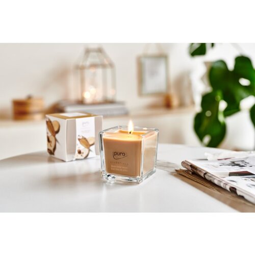 IPURO Essentials Cedar Wood mirisna svijeća 125 g Cijene
