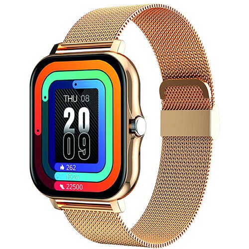 Avizar Povezan Balneo Watch 1,69 "zaslon Bluetooth 5.1 IP67 jeklena zapestnica, Zlata, (5000208917) Cene