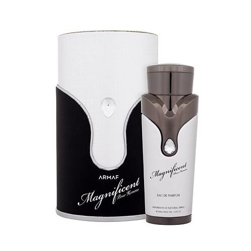 Armaf Magnificent parfumska voda 100 ml za moške Cene