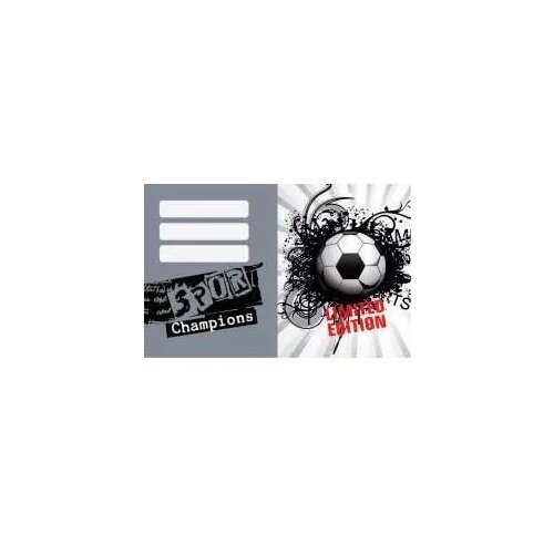 STREET Nalepke za zvezke TEEN BOYS 10/1 Slike