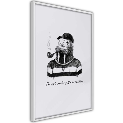  Poster - Captain Walrus 20x30 Slike