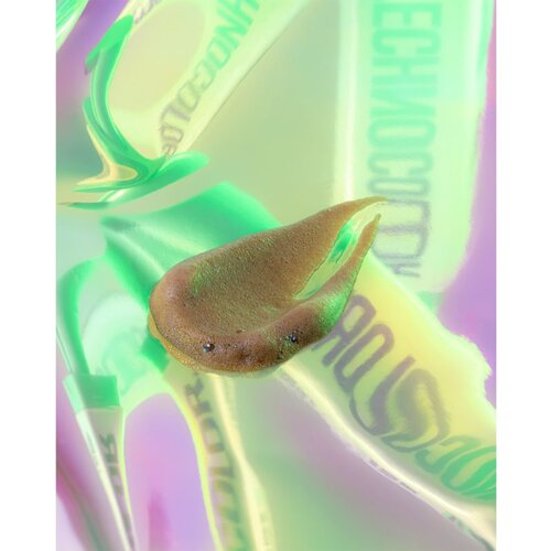 Bondi Sands Technocolor 1 Hour Express Emerald samoporjavitvena pena odtenek Golden Olive Bronze 200 ml Slike