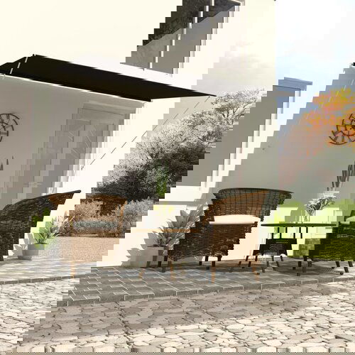 VidaXL tenda na uvlačenje 300 x 150 cm antracit Slike