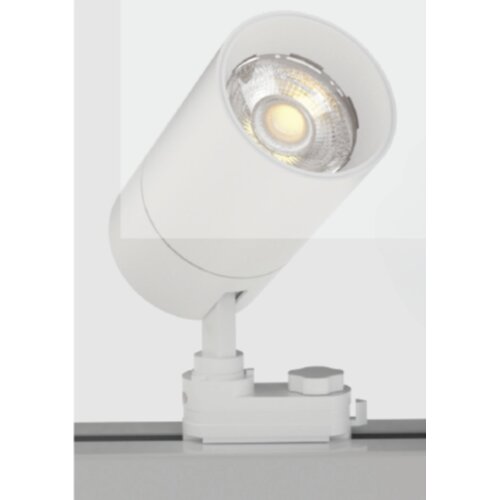  LED ŠINSKI REFLEKTOR LI4032, MF, 20W, 3U1 DMB, Beli Cene