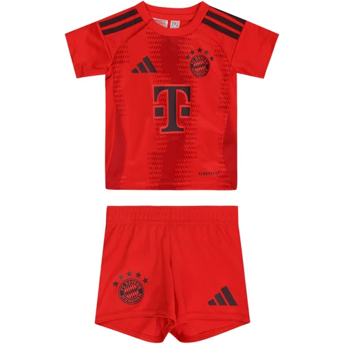 FC BAYERN MÜNCHEN Športna trenirka 'FC Bayern München Home 24-25' bordo / ognjeno rdeča / črna