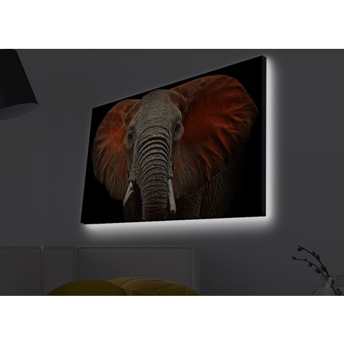 Opviq slika na platnu sa LED osvetljenjem 45x70cm Cene