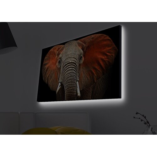 Opviq Slika na platnu sa LED osvetljenjem 45x70cm Cijene