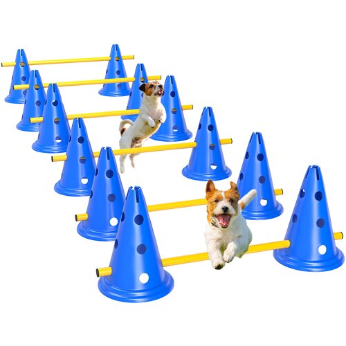 PawHut Komplet za agility za pse, 6-delna oprema za agility trening psov, komplet za preskakovanje ovir, (5000240047) Slike