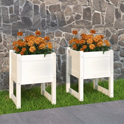 vidaXL Visoka greda 2 kosa bela 40x40x52,5 cm trdna borovina Cene