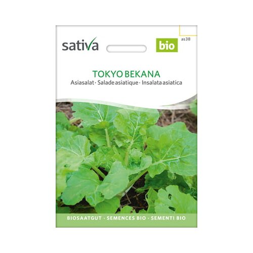 Sativa Bio azijska solata “Tokyo Bekana” Cene