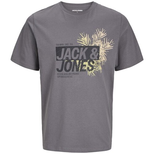 Jack &amp;amp; Jones Mu&amp;scaron;ka majica 12269390, Siva Slike