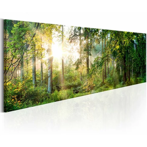  Slika - Forest Shelter 150x50