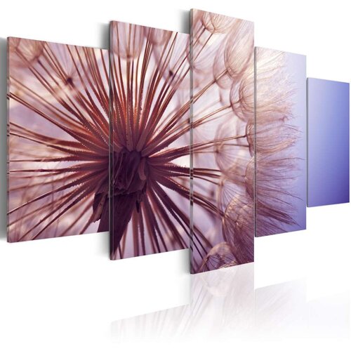  Slika - Purple Glare 100x50 Slike